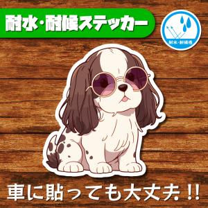 耐水・耐候ステッカー(イングリッシュコッカースパニエル 6)