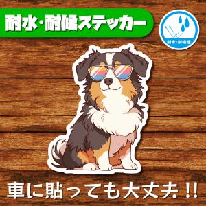 耐水・耐候ステッカー(オーストラリアンシェパード 4)
