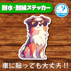 耐水・耐候ステッカー(オーストラリアンシェパード 5)