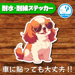 耐水・耐候ステッカー(キャバリア 9)