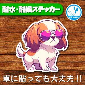 耐水・耐候ステッカー(キャバリア 10)