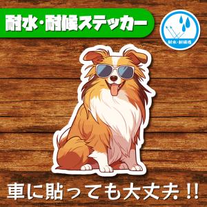 耐水・耐候ステッカー(シェルティー 4)