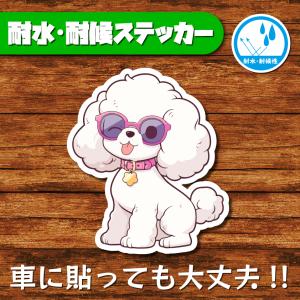 耐水・耐候ステッカー(トイプードル 20)