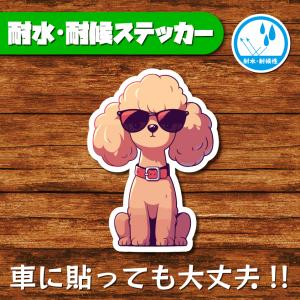 耐水・耐候ステッカー(トイプードル 21)