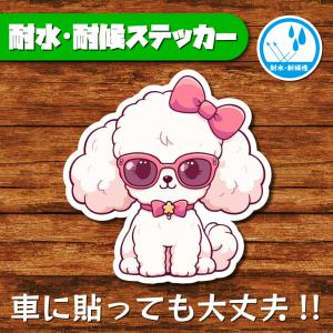 耐水・耐候ステッカー(トイプードル 22)