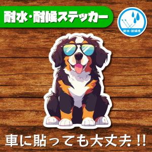 耐水・耐候ステッカー(バーニーズ・マウンテン・ドッグ 6)