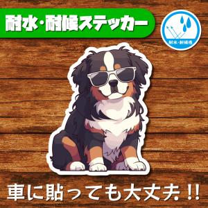 耐水・耐候ステッカー(バーニーズ・マウンテン・ドッグ 7)