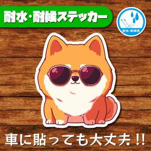 耐水・耐候ステッカー(ポメラニアン 8)