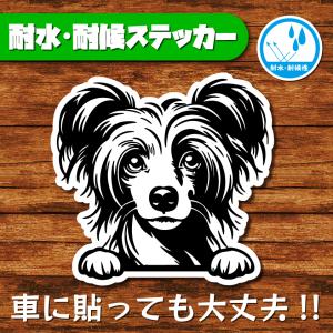 耐水・耐候ステッカー(チャイニーズ・クレステッド・ドッグ)
