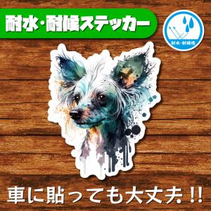 耐水・耐候ステッカー(チャイニーズ・クレステッド・ドッグ 2)
