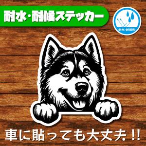 耐水・耐候ステッカー(ハスキー 6)