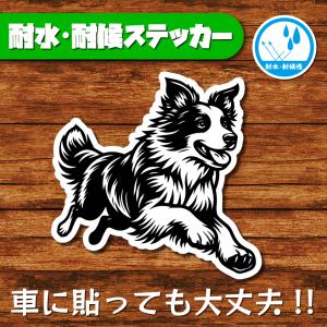 耐水・耐候ステッカー(ボーダーコリー 6)