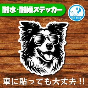 耐水・耐候ステッカー(ボーダーコリー 7)