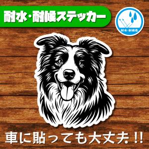 耐水・耐候ステッカー(ボーダーコリー 8)