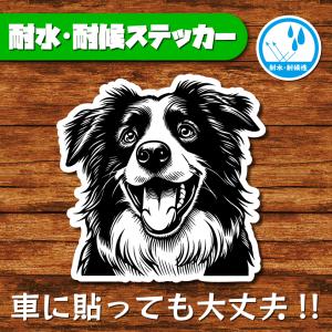 耐水・耐候ステッカー(ボーダーコリー 9)