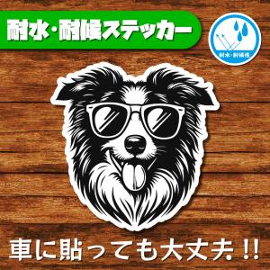 耐水・耐候ステッカー(ボーダーコリー 10)