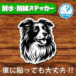 耐水・耐候ステッカー(ボーダーコリー 12)