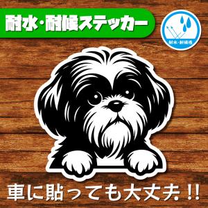 耐水・耐候ステッカー(シーズー 14)