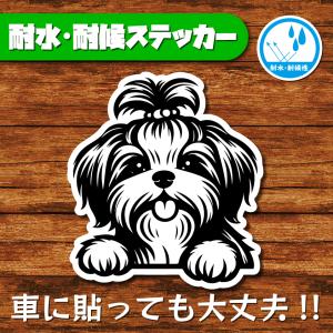 耐水・耐候ステッカー(シーズー 15)