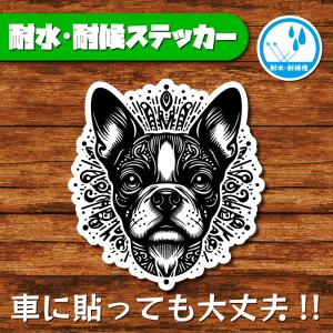 耐水・耐候ステッカー(ボストンテリア 10)