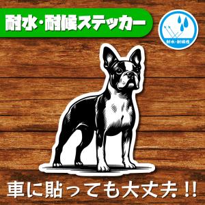 耐水・耐候ステッカー(ボストンテリア 11)