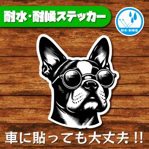 耐水・耐候ステッカー(ボストンテリア 12)