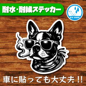 耐水・耐候ステッカー(ボストンテリア 13)