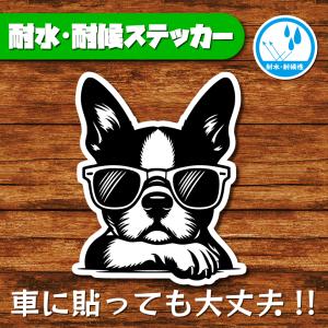耐水・耐候ステッカー(ボストンテリア 16)