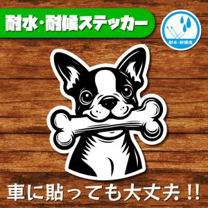 耐水・耐候ステッカー(ボストンテリア 17)