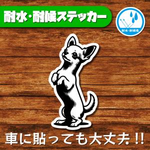 耐水・耐候ステッカー(チワワ 22)