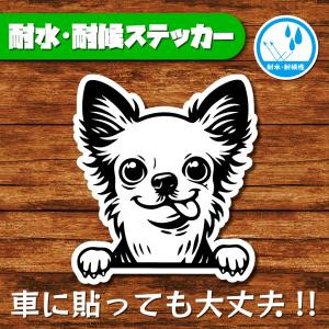耐水・耐候ステッカー(チワワ 28)