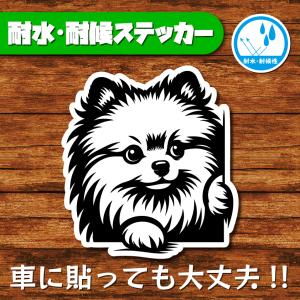 耐水・耐候ステッカー(ポメラニアン 12)