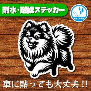 耐水・耐候ステッカー(ポメラニアン 13)
