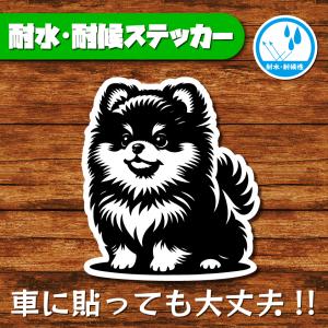 耐水・耐候ステッカー(ポメラニアン 16)