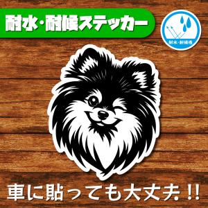 耐水・耐候ステッカー(ポメラニアン 17)