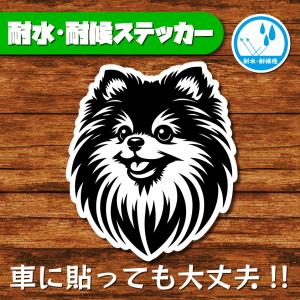 耐水・耐候ステッカー(ポメラニアン 19)