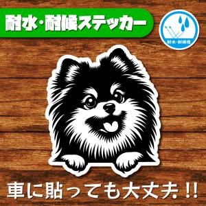 耐水・耐候ステッカー(ポメラニアン 22)