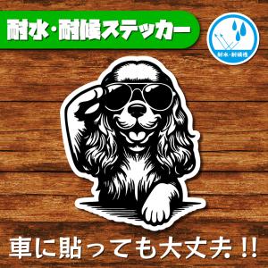 耐水・耐候ステッカー(アメリカンコッカースパニエル 9)