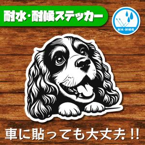 耐水・耐候ステッカー(アメリカンコッカースパニエル 11)