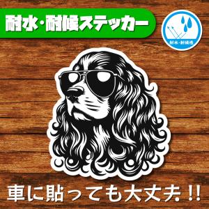 耐水・耐候ステッカー(アメリカンコッカースパニエル 12)