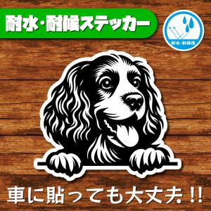 耐水・耐候ステッカー(イングリッシュコッカースパニエル 8)