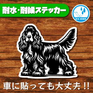 耐水・耐候ステッカー(イングリッシュコッカースパニエル 9)
