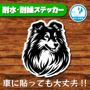耐水・耐候ステッカー(シェルティ 6)