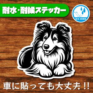 耐水・耐候ステッカー(シェルティ 8)