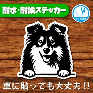 耐水・耐候ステッカー(シェルティ 10)