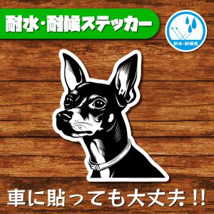 耐水・耐候ステッカー(ミニチュアピンシャー 21)