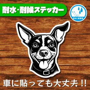 耐水・耐候ステッカー(ミニチュアピンシャー 22)