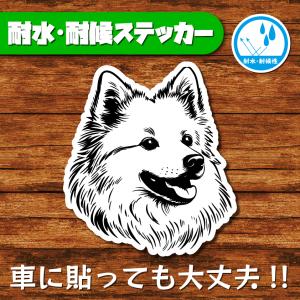 耐水・耐候ステッカー(日本スピッツ 2)