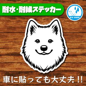 耐水・耐候ステッカー(日本スピッツ 3)