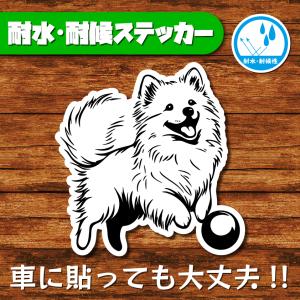 耐水・耐候ステッカー(日本スピッツ 4)